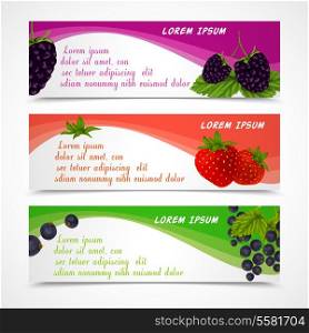 Natural organic forest berries banners set of blackberry strawberry black currant design template vector illustration