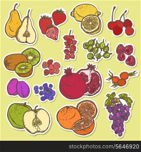 Natural organic fruits and berries icons set of cherry pomegranate plum isolated vector illustration