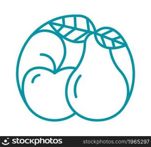 Natural organic products, eating fresh ripe pear and apple. Isolated icon of round sign with meal, eco friendly growth and farming. Advertisement or label. Line art, simple vector in flat style. Organic products, meal fruits from farm market