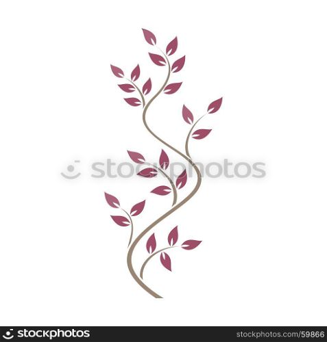Natural ornamentation with pink ivy on white background