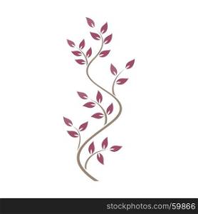 Natural ornamentation with pink ivy on white background