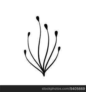 Natural plant. Abstract doodle flower. Sketch black and white Stem with leaves