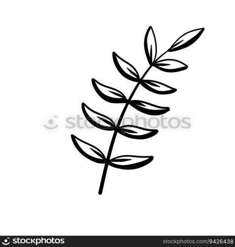 Natural plant. Abstract doodle flower. Sketch black and white Stem with leaves