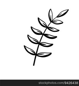 Natural plant. Abstract doodle flower. Sketch black and white Stem with leaves
