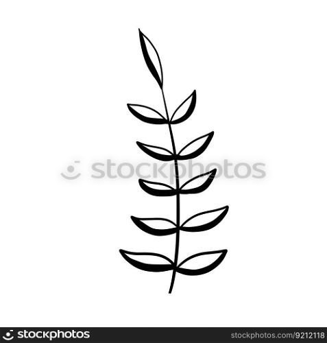 Natural plant. Abstract doodle flower. Sketch black and white Stem with leaves. Natural plant. Abstract doodle flower. Stem with leaves
