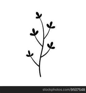 Natural plant. Abstract doodle flower. Sketch black and white Stem with leaves. Natural plant. Abstract doodle flower