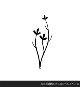 Natural plant. Abstract doodle flower. Sketch black and white Stem with leaves. Natural plant. Abstract doodle flower.