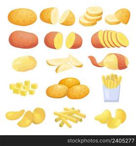 Natural potatoes. Natural plants sliced vegetables round potatoes recent vector colored illustrations set. Organic potato for fast food and ingredient. Natural potatoes. Natural plants sliced vegetables round potatoes recent vector colored illustrations set