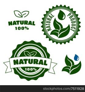Natural product labels and badges with sappy green leaves, water drops and ribbon banner. For retail industry design. Natural product labels with leaves and drops