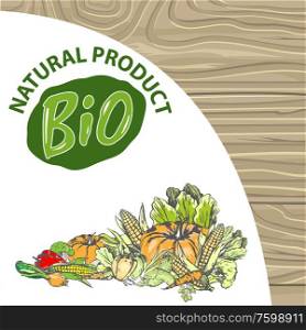 Natural products vector, bio food harvesting banner, corn and pepper, foliage and carrot pumpkin and onion meal fresh harvest organic fruits veggies. Logo of bio products on wood background. Natural Product Bio Ingredients Pumpkin and Pepper