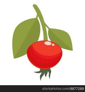 Natural rosehip icon cartoon vector. Berry food. Vitamin ripe. Natural rosehip icon cartoon vector. Berry food