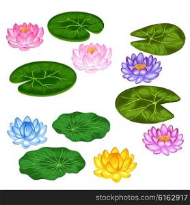 Natural set of stylized lotus flowers and leaves. Objects for decoration, design on advertising booklets, banners, flayers.