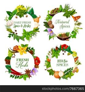Natural spices and aromatic kitchen herbs round banners. Peppermint, mustard and rosemary, onion, garlic and pepper, coriander, dill and bay leaf, saffron, nutmeg and turmeric, vanilla, anise vector. Natural spices and kitchen herbs round banners