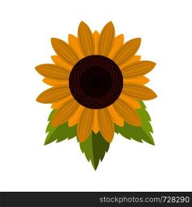 Natural sunflower icon. Flat illustration of natural sunflower vector icon for web. Natural sunflower icon, flat style