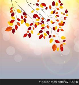 Natural Sunny Autumn Leaves Background Vector Illustration EPS10. Natural Sunny Autumn Leaves Background Vector Illustration