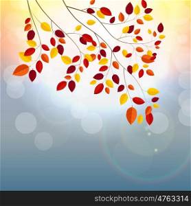 Natural Sunny Autumn Leaves Background Vector Illustration EPS10. Natural Sunny Autumn Leaves Background Vector Illustration