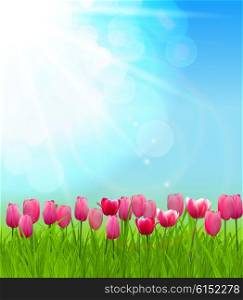 Natural Sunny on Background Vector Illustration EPS10. Natural Sunny Background Vector Illustration