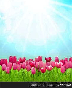Natural Sunny Tulip Background Vector Illustration EPS10. Natural Sunny Background Vector Illustration