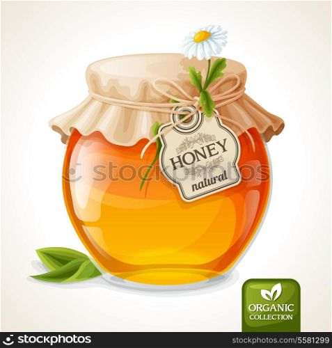 Natural sweet golden organic honey in glass jar with tag and paper cover vector illustration