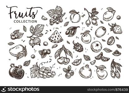 Natural tasty fruits and berries collection of monochrome sepia sketches. Natural food grown at farm. Sweet organic products full of vitamins isolated cartoon flat vector illustrations on white.. Natural tasty fruits collection of monochrome sepia sketches