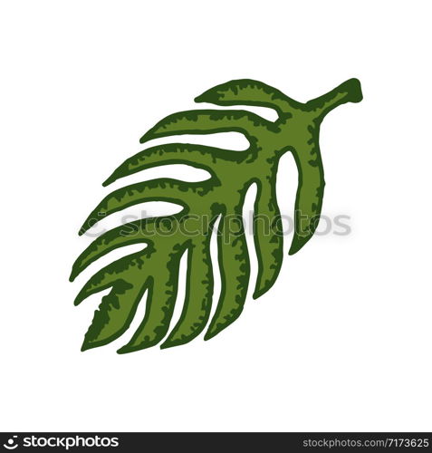 natural tropical leaf vector logo template illustration EPS 10