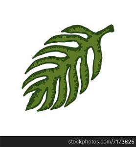 natural tropical leaf vector logo template illustration EPS 10