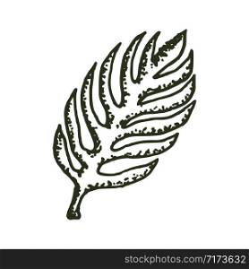 natural tropical leaf vector logo template illustration EPS 10