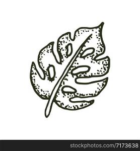 natural tropical monstera leaf vector logo template illustration EPS 10
