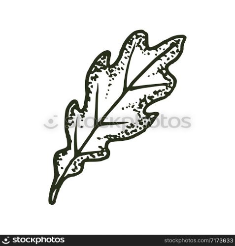 natural tropical oak leaf vector logo template illustration EPS 10