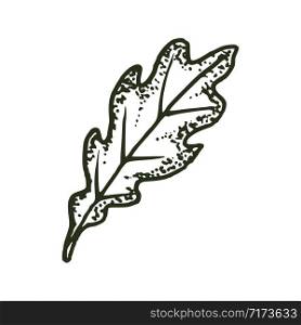natural tropical oak leaf vector logo template illustration EPS 10