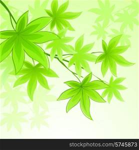 Natural vector background with green spring leaves EPS10. Natural vector background with green spring leaves