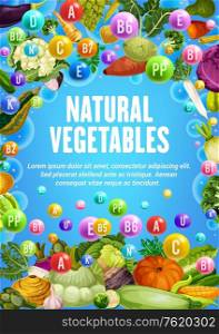 Natural vegetables, organic vegetarian farm veggies food. Vector healthy vitamins in tomato, carrot or corn and cabbage, vegan cucumber, onion and potato, eggplant, cauliflower and broccoli vegetable. Healthy vitamins in organic vegetarian vegetables
