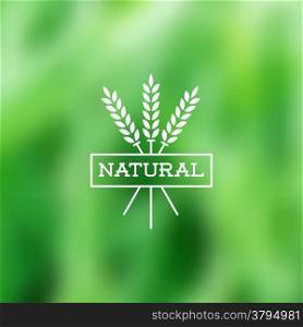 Natural vintage styled vector label on blurry background