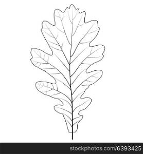Naturalistic autumn oak leaves on White. Vector Illustration. EPS10. Naturalistic autumn oak leaves on White. Vector Illustration.