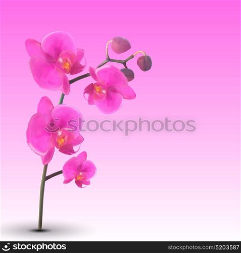 Naturalistic Beautiful Colorful Pink Orchid.Vector Illustration. EPS10. Naturalistic Beautiful Colorful Pink Orchid.Vector Illustration.