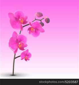 Naturalistic Beautiful Colorful Pink Orchid.Vector Illustration. EPS10. Naturalistic Beautiful Colorful Pink Orchid.Vector Illustration.