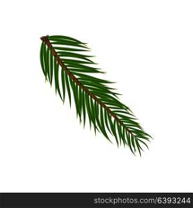 Naturalistic colorful fir branch. Vector Illustration. EPS10. Naturalistic colorful fir branch. Vector Illustration.