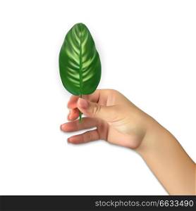 Naturalistic hand of man holds Beautiful Palm Tree Leaf Silhouette. Vector Illustration. EPS10. Naturalistic hand of man holds Beautiful Palm Tree Leaf Silhouette. Vector Illustration