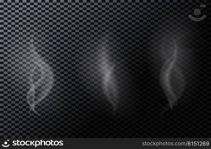 Naturalistic Smoke Isolated on Dark Background. Vector Illustration. EPS10. Naturalistic Smoke Isolated on Dark Background. Vector Illustrat