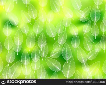 Nature abstract blurred background