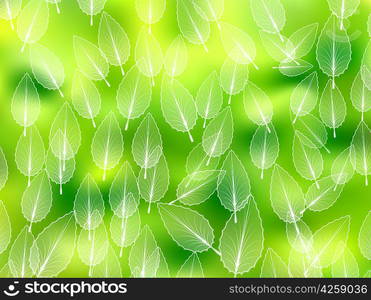 Nature abstract blurred background