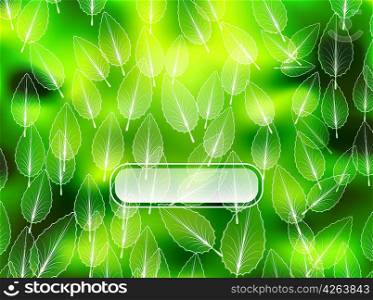 Nature abstract blurred background