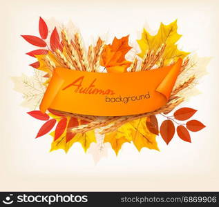 Nature Autumn Background With Colorful Leaves and Wheat. Vector.