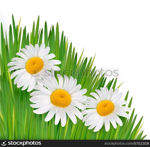 Nature background with beautiful flowers.Vector illustration