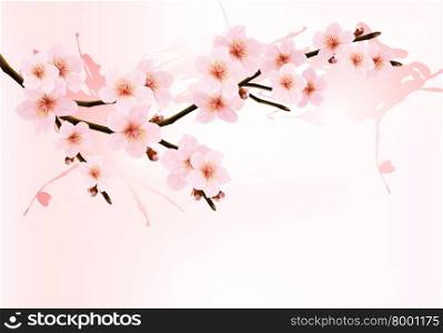 Nature background with blossoming sakura branch. Vector illustration.