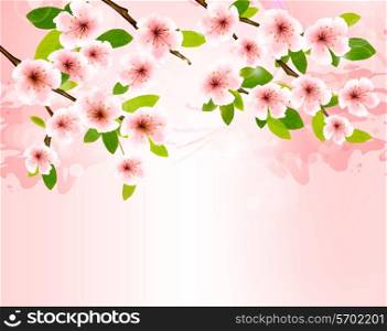 Nature background with blossoming sakura brunch. Vector illustration.