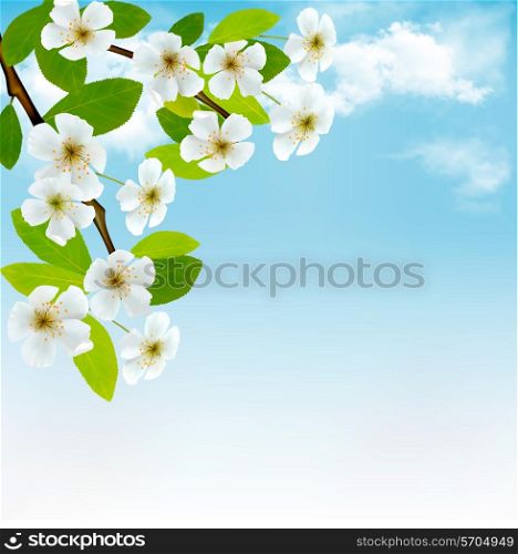 Nature background with blossoming tree brunch and blue sky. Vector illustration.