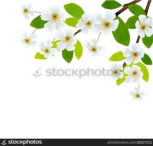 Nature background with blossoming tree brunch and blue sky. Vector illustration.