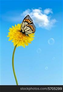 Nature background with butterfly on a yellow dandelion. Vector.