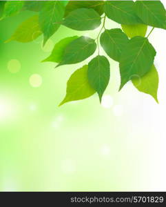 Nature background with fresh green leaves